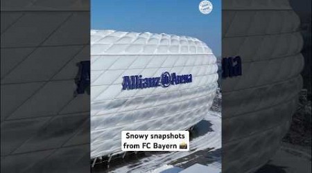 Snowy #FCBayern snapshots 