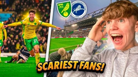 BOXING DAY DRAMA as NORWICH take all 3 points vs MILLWALL! Norwich City vs Millwall FC