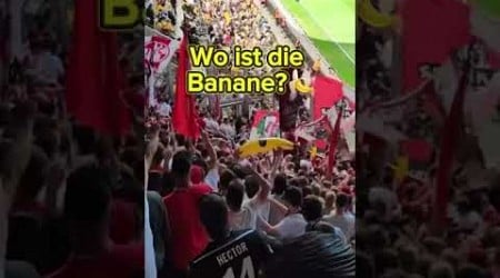 Effzeh Ultras in Dresden