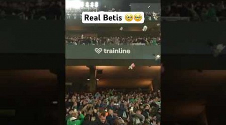 This is a beautiful tradition Real Betis has #soccer