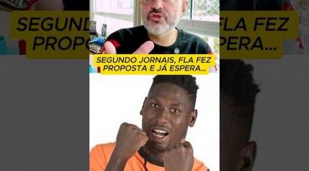 CNN E ITATIAIA CRAVAM QUE FLAMENGO FEZ PROPOSTA POR ATACANTE EX-AJAX, DA HOLANDA!