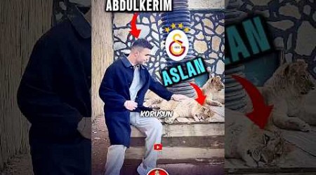 ABDÜLKERİM BARDAKÇI ASLAN SEVDİ 