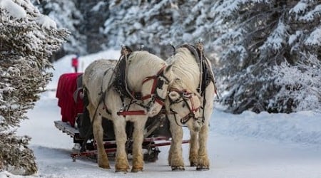 &quot;Happy New Years&quot; Winter Sleigh Ride&quot; Celtic Folk Instrumental Music Playlist, Folk Celtic Music