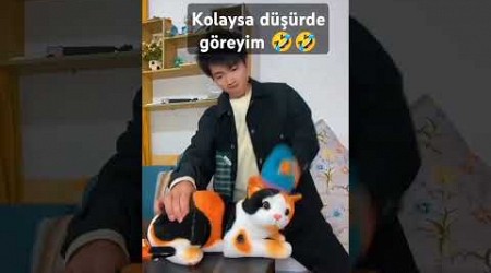 #futbol #automobile #galatasaray #football #emoji #music #cat #love #kedi #animals