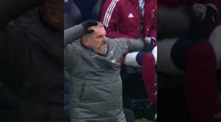 Ange Postecoglou absolutely LOST IT after Newcastle&#39;s equaliser 