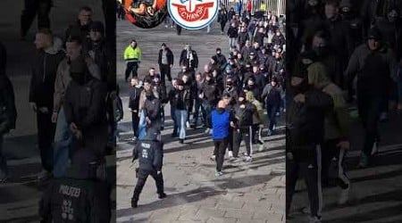 HANSA ROSTOCK ULTRAS #football #ultras #derby #ultraslife #bundesliga #ultrastreet #soccer