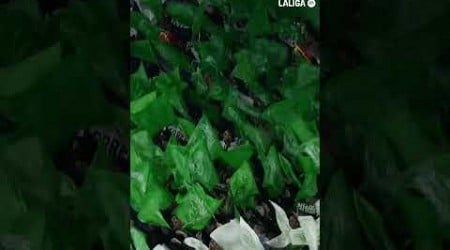 Una pasión llamada #RealBetis 